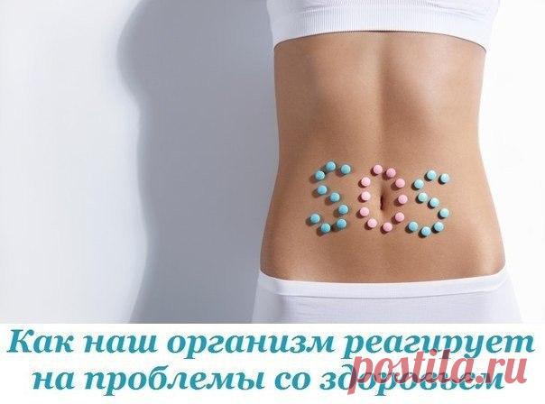 КАК НАШ ОРГАНИЗМ РЕАГИРУЕТ НА ПРОБЛЕМЫ СО ЗДОРОВЬЕМ

Потрескавшиеся губы

Если наряду с трещинками на губах и в уголках рта ощущается мышечная слабость, возникают проблемы с концентрацией внимания и усиленно выпадают волосы – это серьезный сигнал о недостатке в организме витамина В2 (рибофлавина).

Нарушенное равновесие быстро восстановят молочные продукты, яйца, арахис, персики, соя, груши, томаты и цветная капуста.

Белый налет на языке

Это спутник тех, кто долго голода...