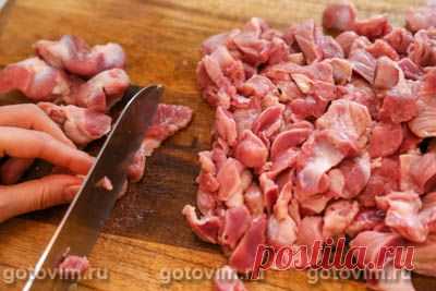 Куриные желудки, тушенные в сметане и пиве. Рецепт с фото / Готовим.РУ