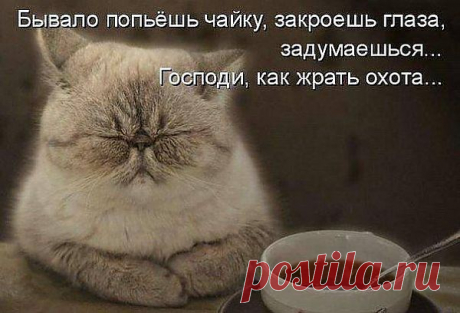 (79) Facebook