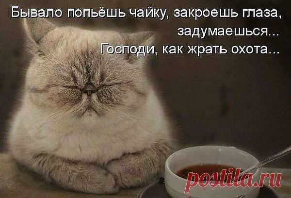 (79) Facebook