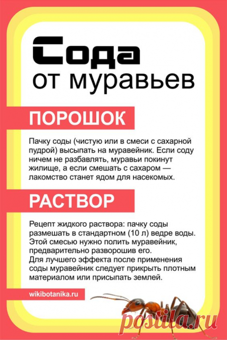 Сода от муравьев