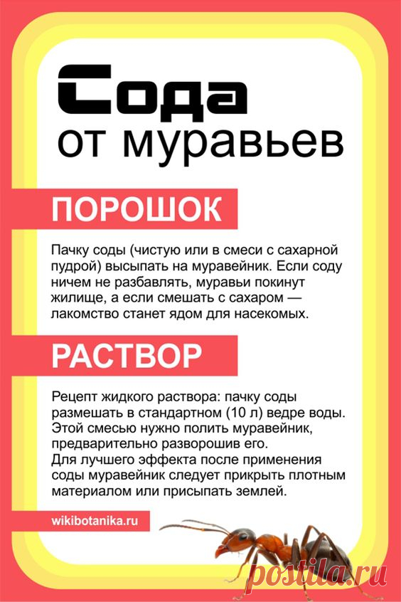 Сода от муравьев
