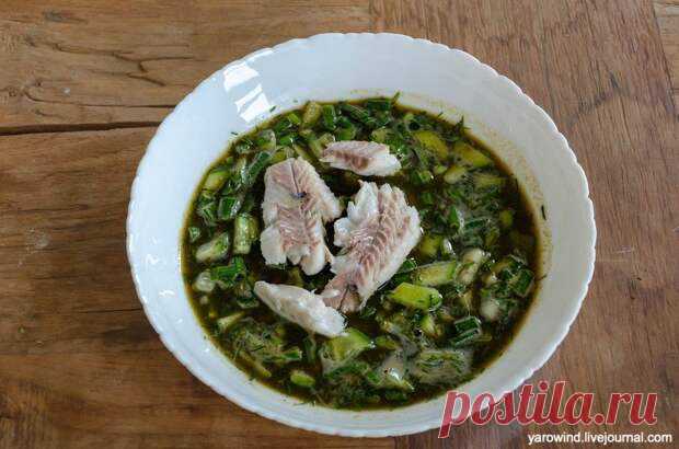 Щавелевая ботвинья с судаком - Наш уютный дом - Медиаплатформа МирТесен Пока стоит жаркое лето, продолжаю экспериментировать со всякими холодными супами. В прошлый раз была армянская окрошка, сегодня русская ботвинья. Обычно сейчас под ботвиньей чаще понимают суп из наземной части свеклы, но на самом то деле ботва — это почти любая съедобная зелень, поэтому и вариантов - 6 июля - 43990271854 - Медиаплатформа МирТесен