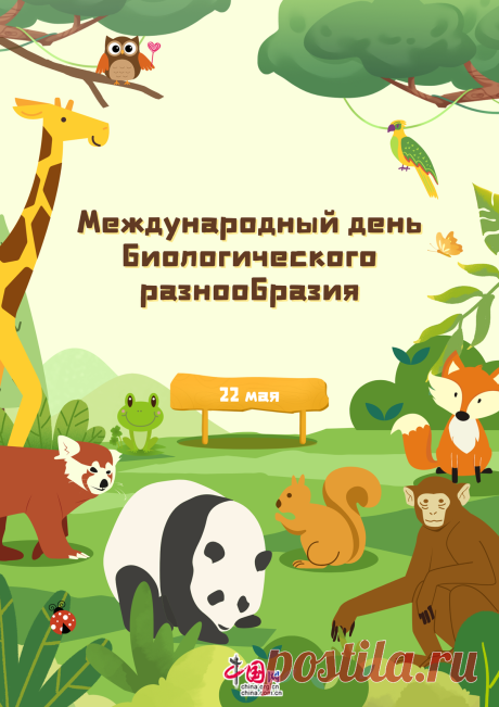 В этот праздничный день желаю тебе гармонии с окружающим миром! Пусть каждый твой шаг оставляет добрый след на Земле, а природа радует своей красотой, богатством и бесконечным разнообразием форм жизни. Открытки на Международный день биологического разнообразия!