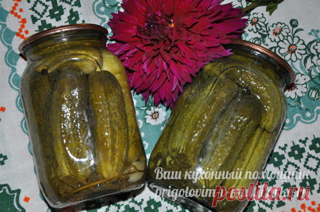 Маринованные огурцы, рецепт на зиму хрустящие без стерилизации