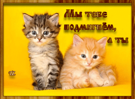 92379438_muy_tebe_podmignyom_a_tuy_uluybnis.gif (400×295)