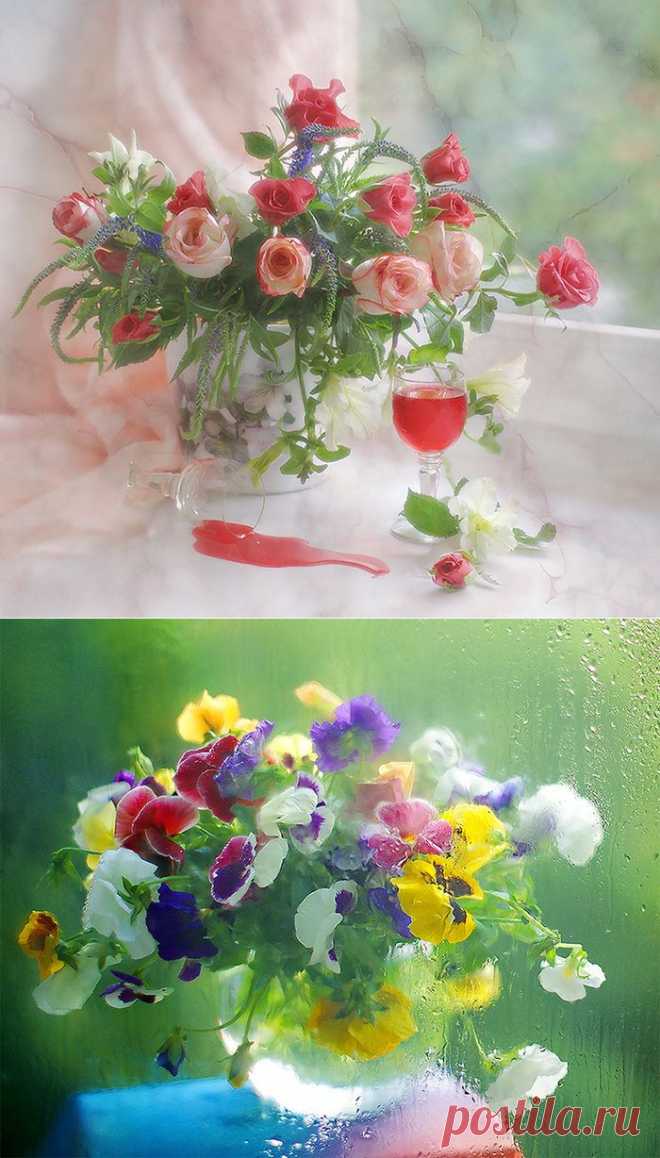 Цветы и нежность, Мария Бахарева