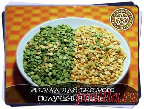 1 непрочитанный чат