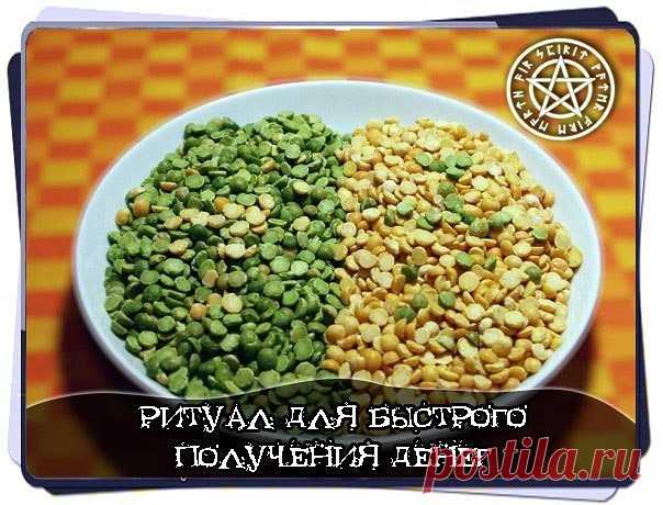 1 непрочитанный чат