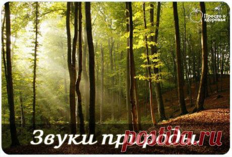 Звуки природы