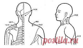 КРАСОТА И ЗДОРОВЬЕ – Колекції – Google+