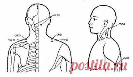 КРАСОТА И ЗДОРОВЬЕ – Колекції – Google+