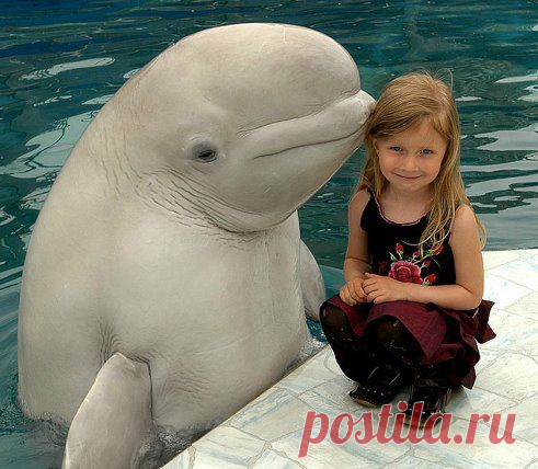 (2) Одноклассники
