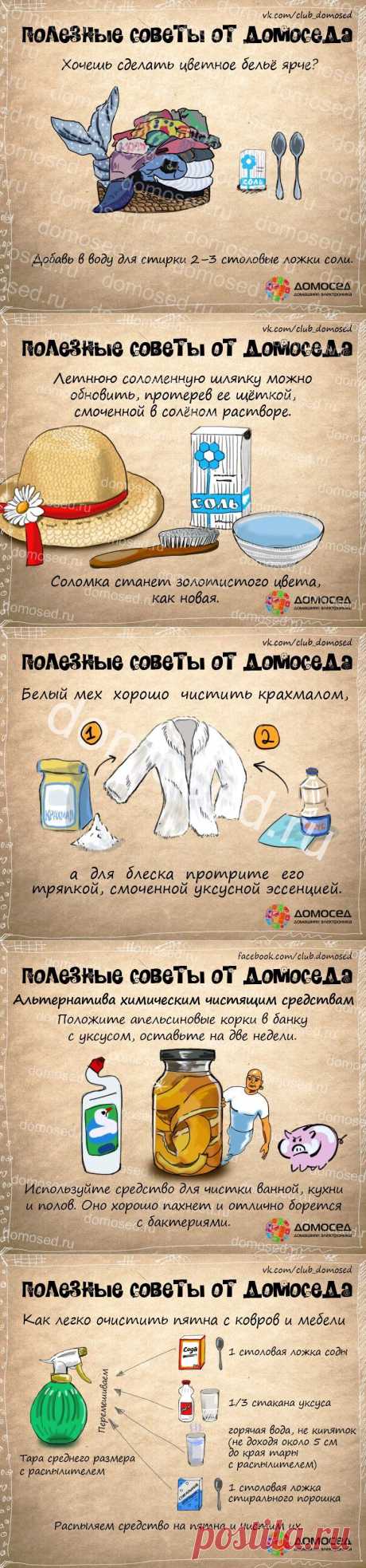 Полезные советы от Домоседа