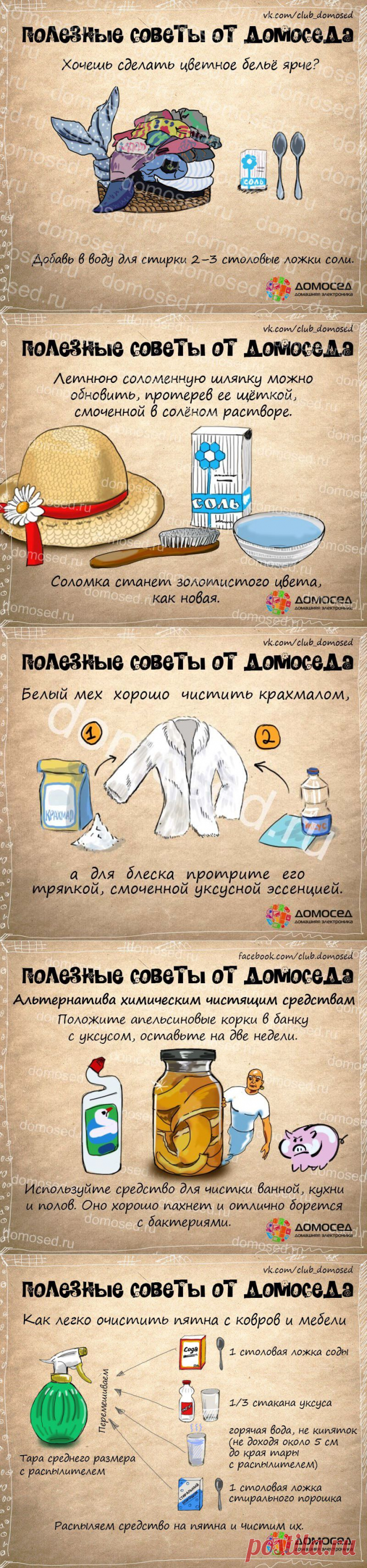 Полезные советы от Домоседа