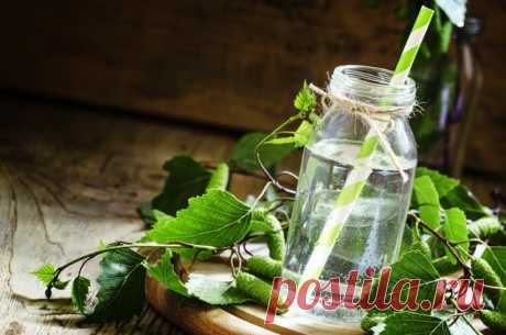 Слёзы от берёзы. Чем полезен берёзовый сок и как его собирать?
Апрель-май — время сбора берёзового сока. Этот напиток — отличное средство пополнить ежедневный рацион витаминами в конце весны, пока не выросли ранние местные фрукты и овощи.
Чем он полезен, ст…