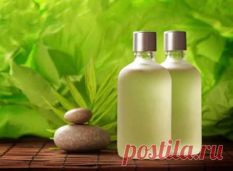 Шампуни для волос, сделанные своими руками — Модно / Nemodno
