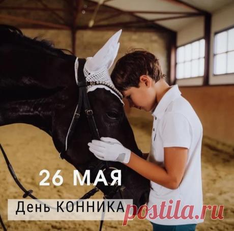 Поздравляю с Днем конника! Пусть каждое мгновение, проведенное в седле, дарит чувство абсолютной свободы.
