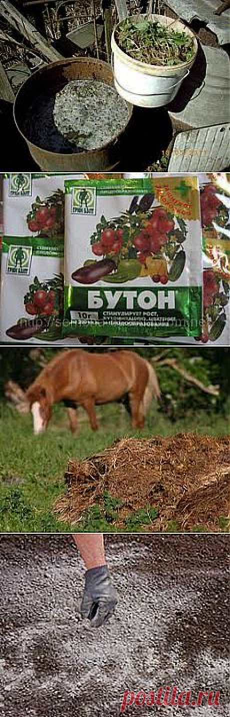 Удобрения, подкормки | Записи в рубрике Удобрения, подкормки | Дневник бама