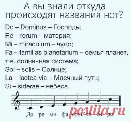 Немного о музыке