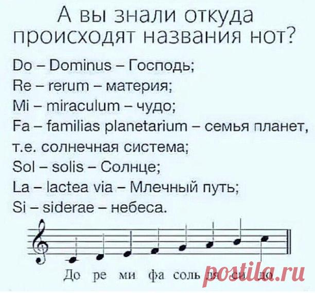 Немного о музыке