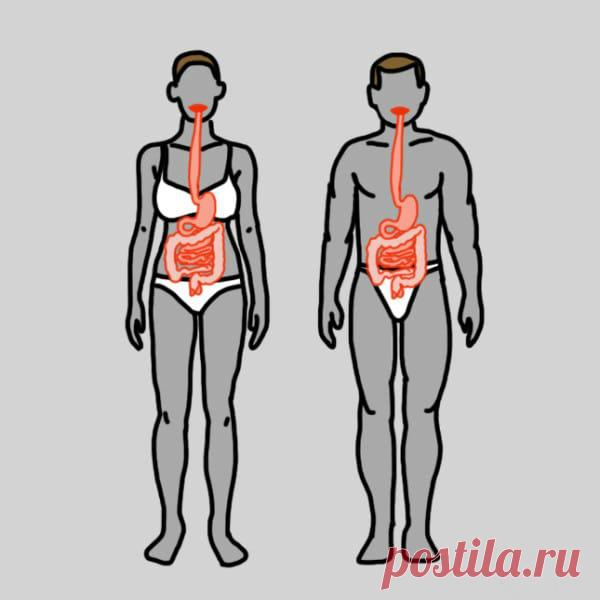 Топ 11 продуктов с которыми вы забудете о проблемах с желудком раз и навсегда Проблемы с желудочно-кишечным трактом — не то, о чем принято трубить на каждом углу. И тем не менее, мы крайне часто испытываем проблемы с этой частью  организма. По той или иной причине. Здесь может …