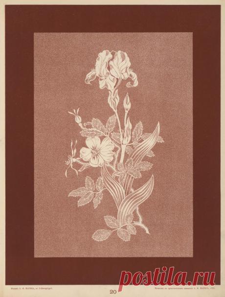Книга - "Вышивка ( 1905 г)".