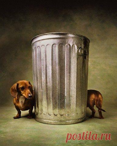 Найдено на сайте indulgy.com.