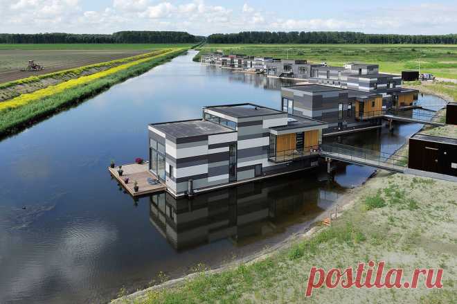 Drijf in Lelystad