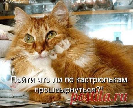 Интересные новости