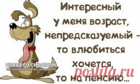 Занимательный факт. Среднестатистической девушке за одну ссору может стать все ясно до 48 раз - Приколисты - медиаплатформа МирТесен