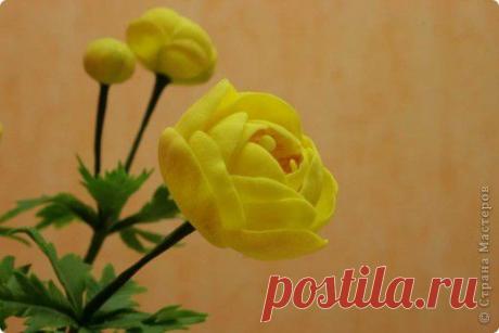 Купальница (Trollius) из холодного фарфора | Страна Мастеров