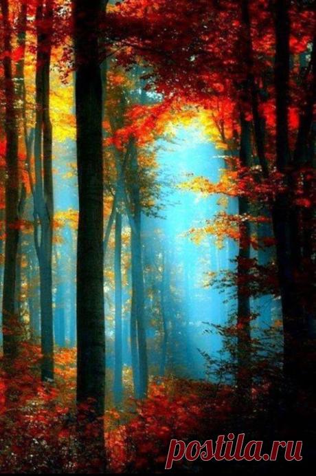 Pinterest