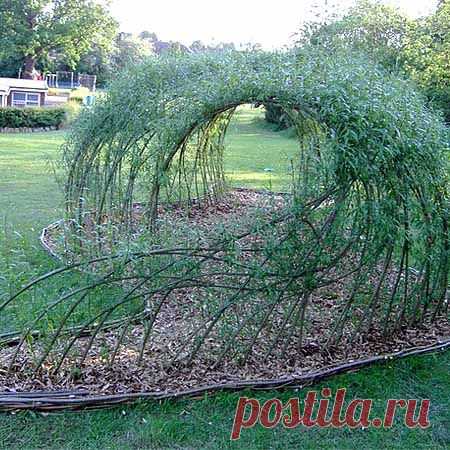 Легкие зеленые беседки — 6 соток