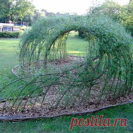 Легкие зеленые беседки — 6 соток