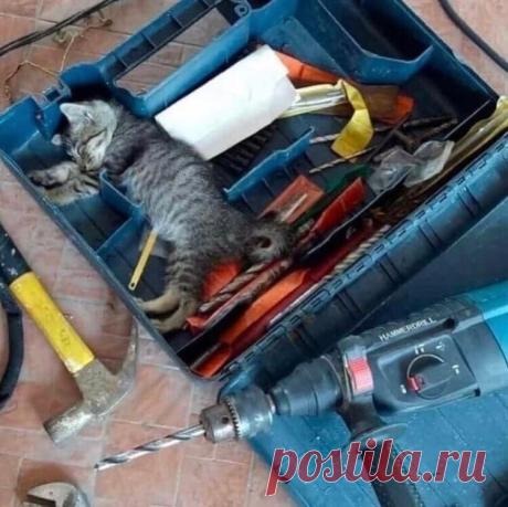 Ну и как это называется ?