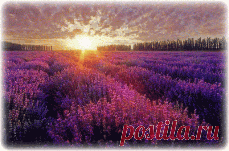 Мой Мир@Mail.Ru