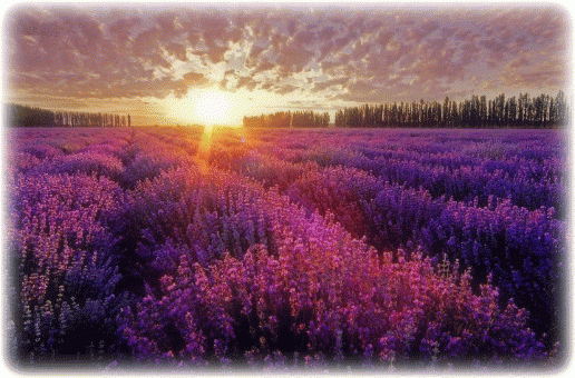 Мой Мир@Mail.Ru