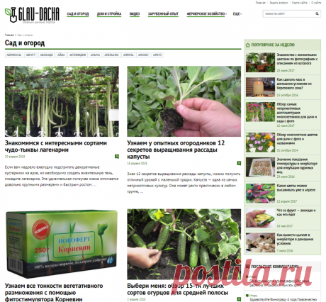 Сад и огород