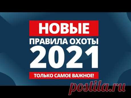 Новые правила охоты 2021: главные изменения в правилах охоты, обсуждение с экспертом-охотоведом