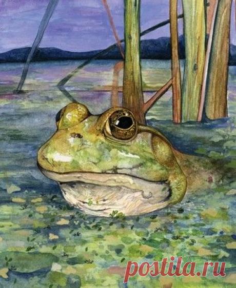 frog watercolor | FROGS