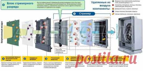 Чем полезен очиститель воздуха для аллергиков и астматиков