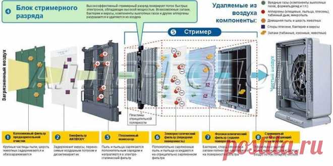 Чем полезен очиститель воздуха для аллергиков и астматиков