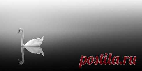 Одиночество так же необходимо разуму, как воздержание в еде - телу, и точно так же гибельно, если оно слишком долго длится.