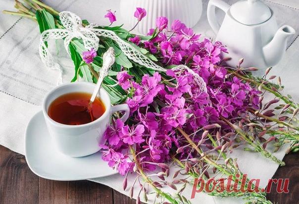 С чаем не скучаем!

Рецепты вкусных чаёв, которые подходят для почти постоянного употребления.

Общеукрепляющий чай: листья бадана (3 части), листья черной смородины (1 часть), листья малины (1 часть), трава душицы (1 часть).
Показать полностью…