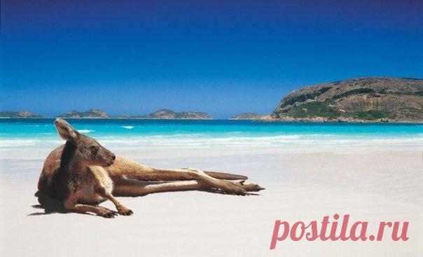 Мой Мир@Mail.Ru