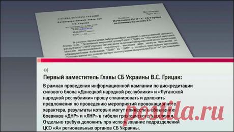 КиберБеркут получил доступ к секретным документам Управления СБУ в Донецкой  области