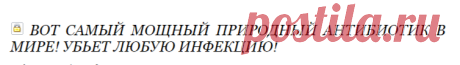 Вот самый мощный природный антибиотик в мире! Убьет любую инфекцию!