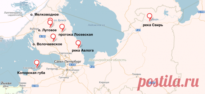 Инструкция для рыбаков: как не попасться в сети закона : Проверено: IVBG.ru