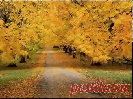 GIOVANNI MARRADI - Just for you.
